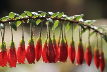 深圳宝安区2私人快速借钱网，轻松解决资金难题